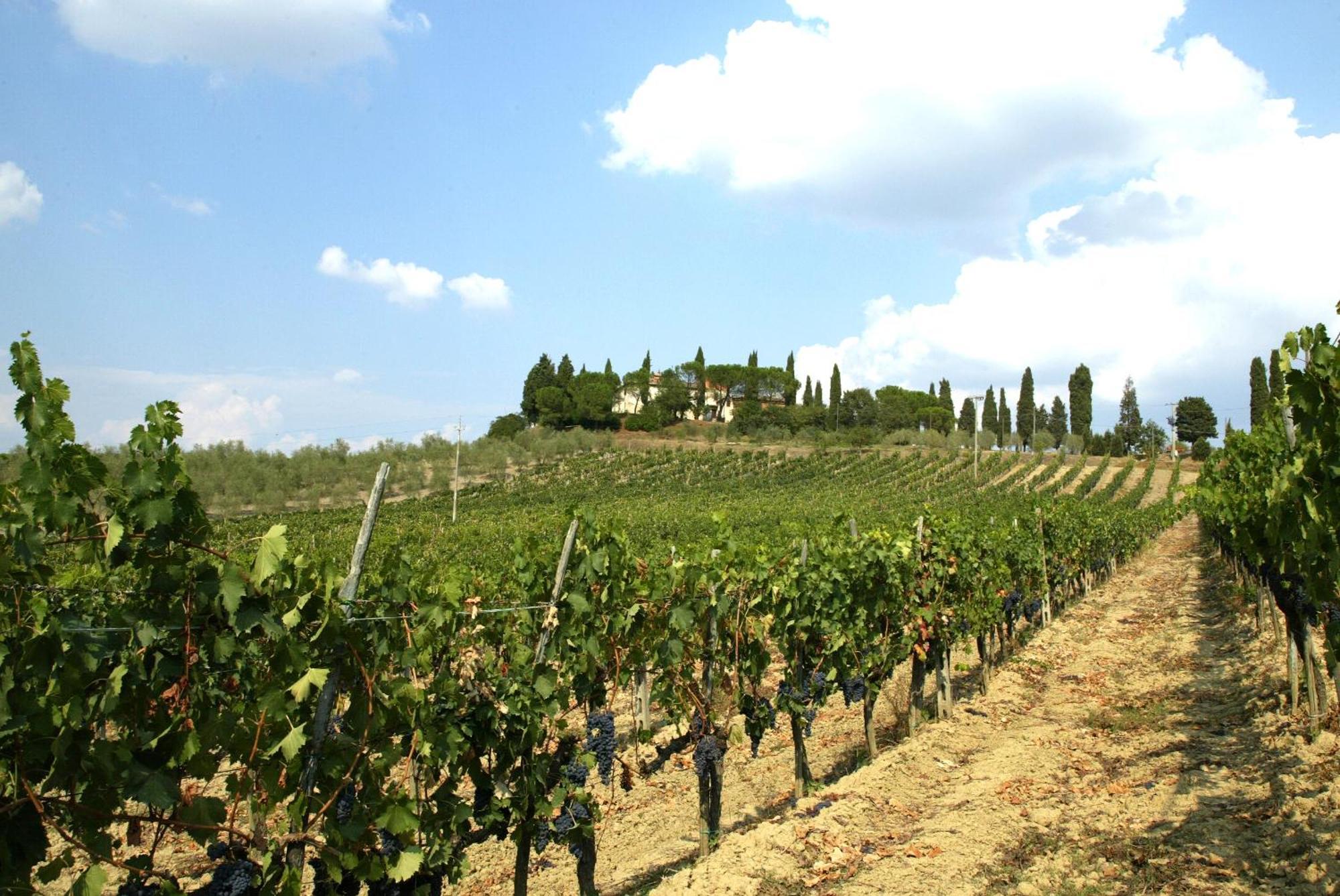 בונוקונבנטו Agriturismo Pieve Sprenna מראה חיצוני תמונה