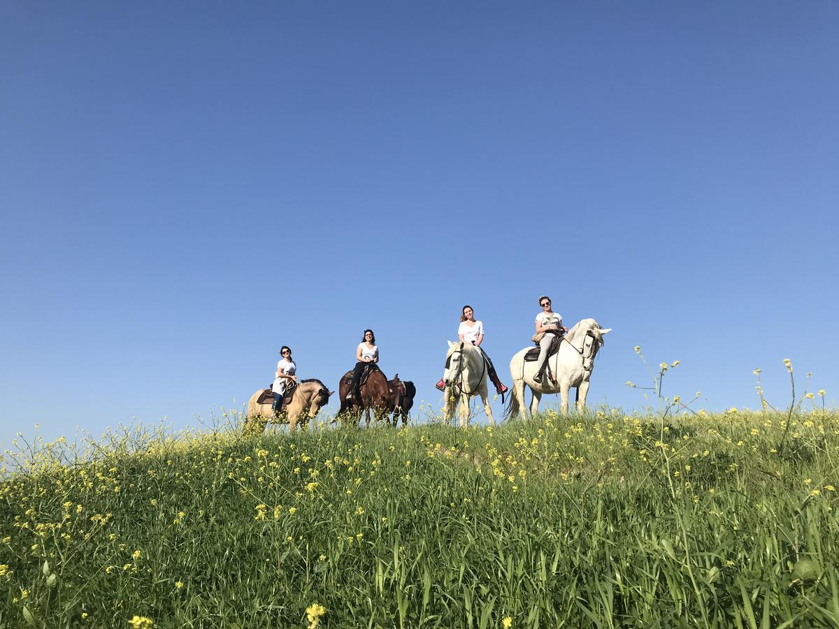 בונוקונבנטו Agriturismo Pieve Sprenna מראה חיצוני תמונה